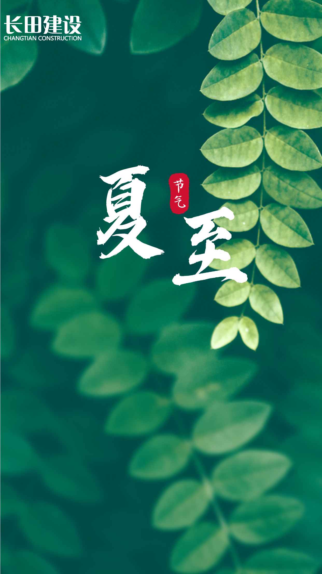 夏至节气祝福问候实景清新手机海报.jpg