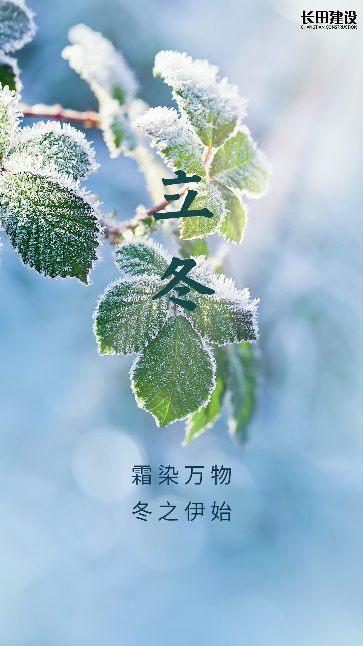立冬节气树枝落雪实景祝福海报.jpg