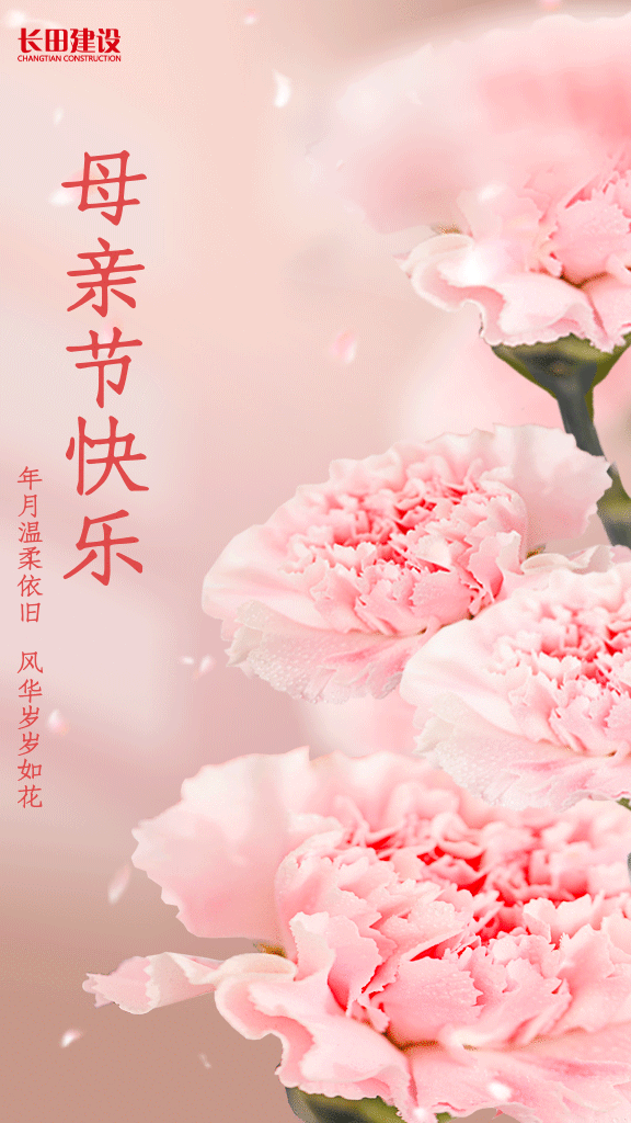 图司机-20250509-30382314 (2).gif